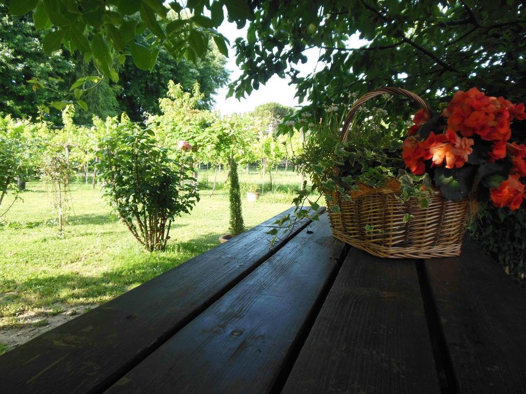 Bed and Breakfast Al Pic de Corone Terzo d' Aquileia Exterior foto