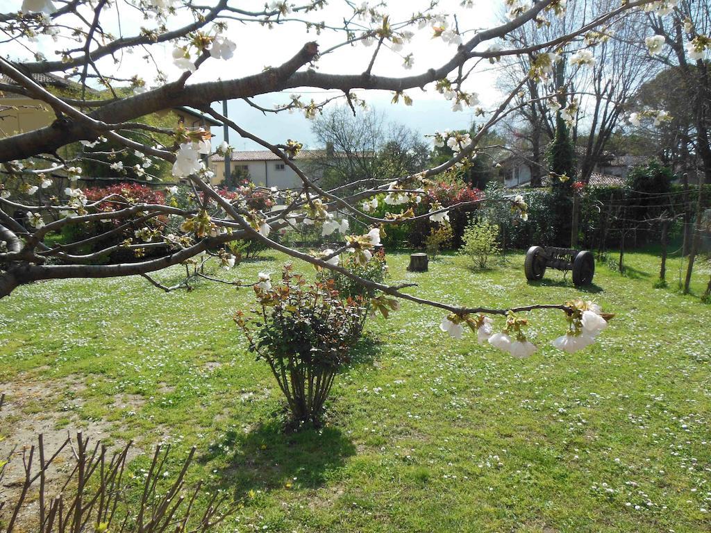 Bed and Breakfast Al Pic de Corone Terzo d' Aquileia Exterior foto