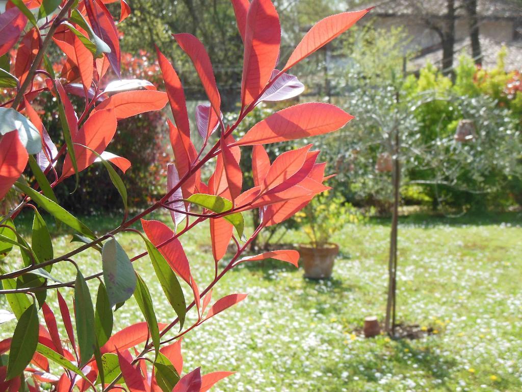 Bed and Breakfast Al Pic de Corone Terzo d' Aquileia Exterior foto