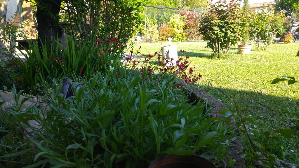Bed and Breakfast Al Pic de Corone Terzo d' Aquileia Exterior foto