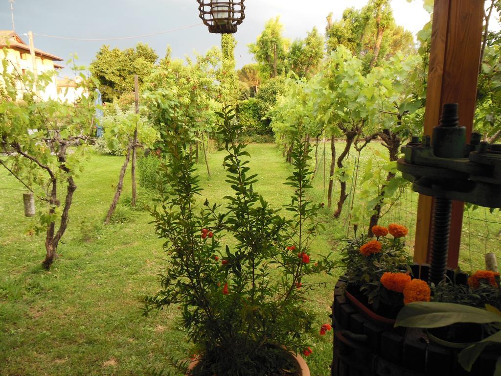 Bed and Breakfast Al Pic de Corone Terzo d' Aquileia Exterior foto