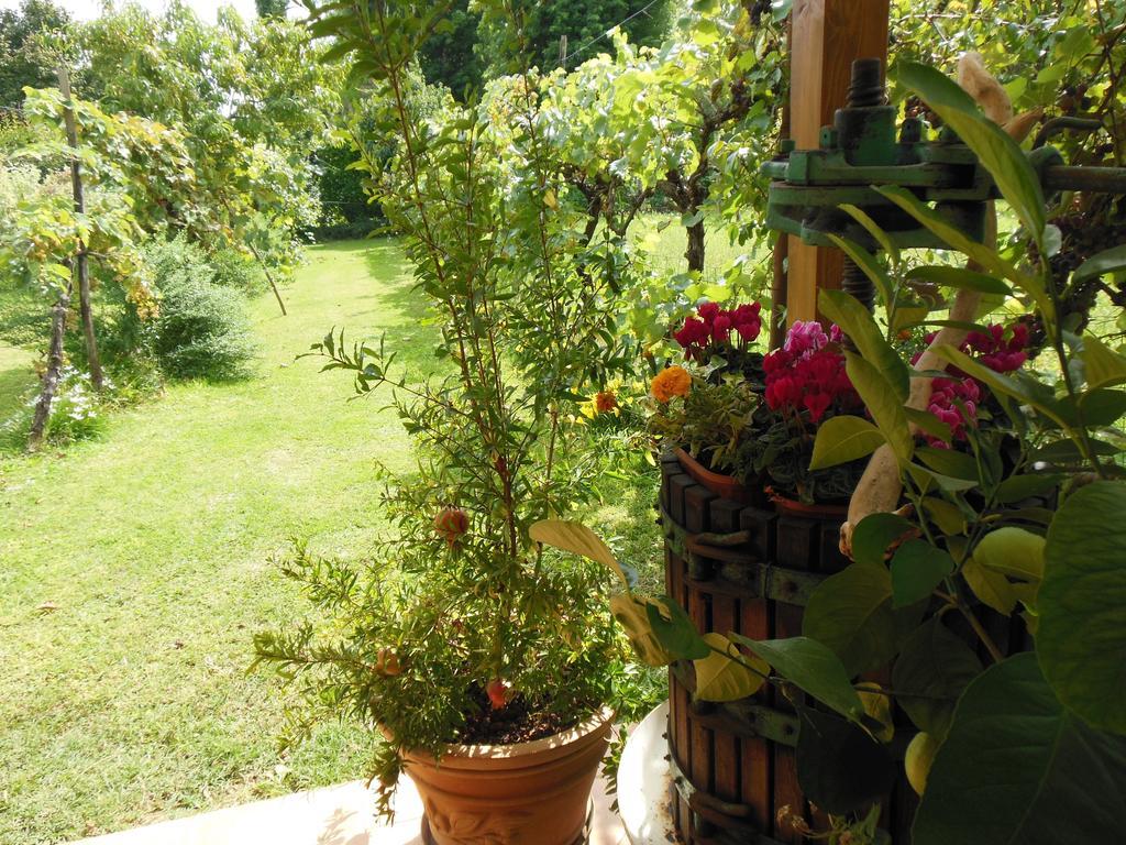 Bed and Breakfast Al Pic de Corone Terzo d' Aquileia Exterior foto