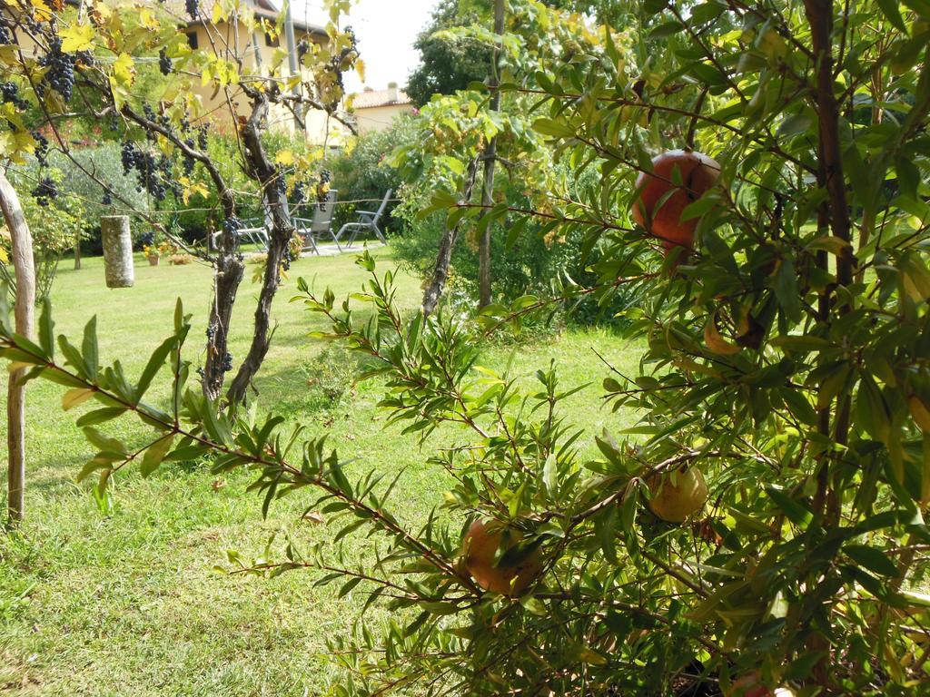 Bed and Breakfast Al Pic de Corone Terzo d' Aquileia Exterior foto